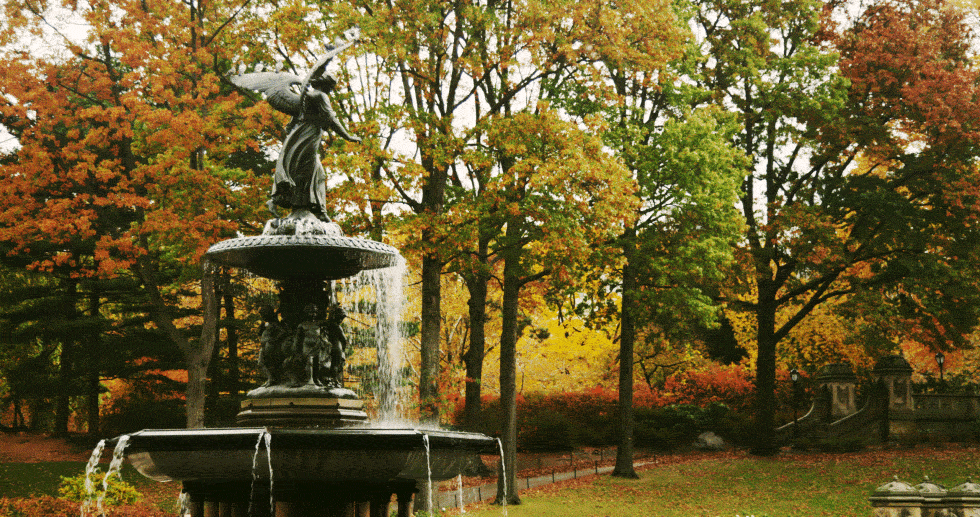 Bethesda Fountain 9801 7 best practices for using GIFs and cinemagraphs for business